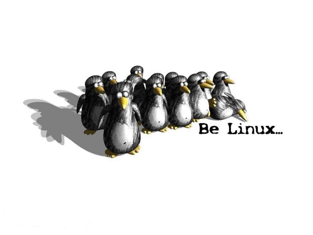 Be-Linux-001