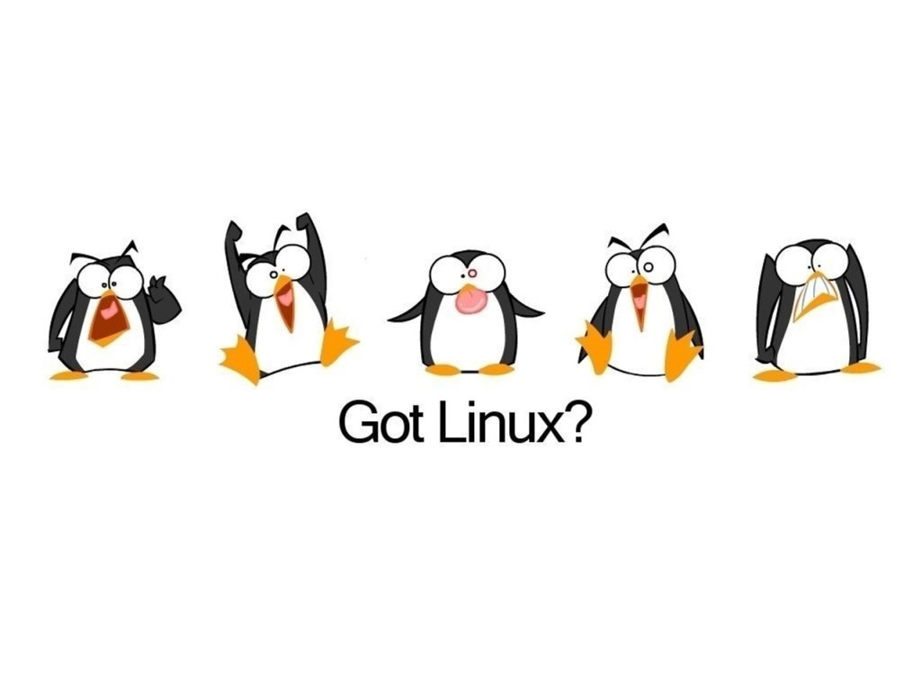 Got-Linux-001