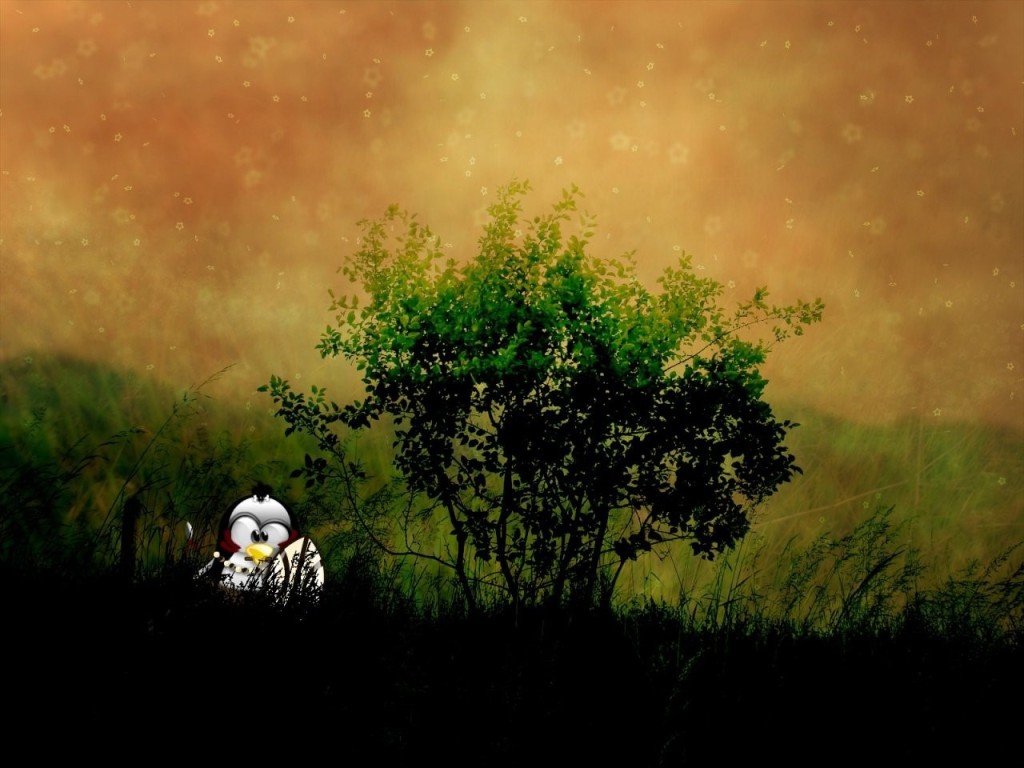 Dawn-of-Tux-001