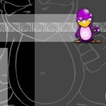 FireWall-Tux-003
